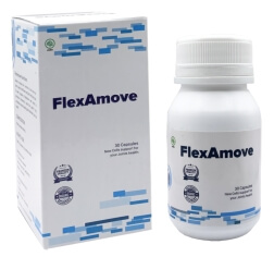FlexAmove obat sendi Indonesia