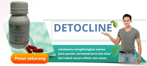 Apa Itu Detocline dan Bagaimana Cara Kerjanya