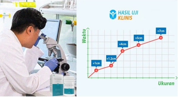 Kandungan dan Komposisi Prostaform