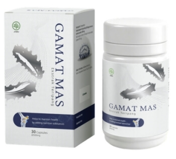 Gamat Mas Kapsul Indonesia - Harga Testimoni Penggunaan Gamat Mas Kapsul Indonesia
