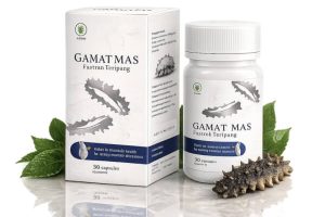 Gamat Mas Harga dan Efek samping – Aman atau Tidak?